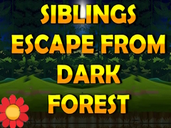 Oyunu Siblings Escape From Dark Forest