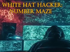 Oyunu White Hat Hacker: Number Maze