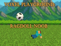 Oyunu Voxel Playground: Ragdoll Noob