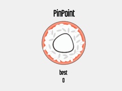 Oyunu Pinpoint
