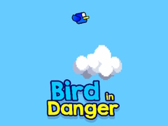 Oyunu Bird in Danger