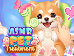 Oyunu ASMR Pet Treatment