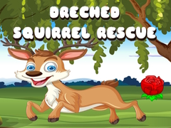 Oyunu Drenched Squirrel Rescue