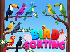 Oyunu Birds Sorting