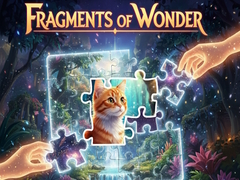 Oyunu Fragments of Wonder