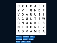 Oyunu Word Search Word Puzzle