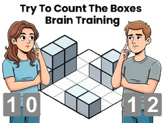 Oyunu Try To Count The Boxes Brain Training