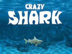 Oyunu Crazy Shark