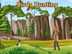 Oyunu Birds Hunting