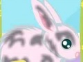 Oyunu Take care of the little rabbit