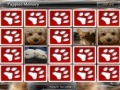 Oyunu Puppies Memory