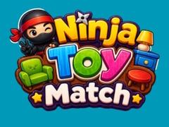 Oyunu Ninja Toy Match