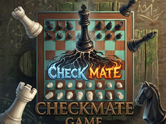 Oyunu Checkmate Game