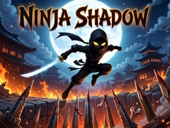 Oyunu Ninja Shadow