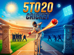Oyunu 5TO20 Cricket