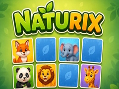 Oyunu Naturix