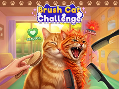 Oyunu Brush Cat Challenge 