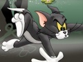 Oyunu Tom And Jerry Chase In Marsh