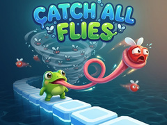 Oyunu Catch All Flies