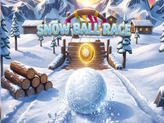 Oyunu Snow Ball Race