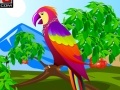 Oyunu Decor the Cute Parrot