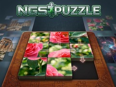 Oyunu NGS Puzzle