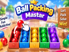 Oyunu Packing Master Puzzle