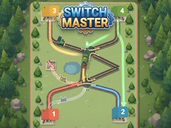 Oyunu Switch Master