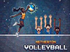 Oyunu Netherton Volleyball