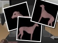 Oyunu Greyhound Tycoon