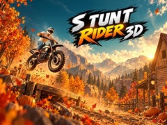 Oyunu Stunt Rider 3D