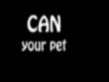 Oyunu Can Your Pet