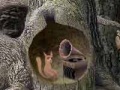 Oyunu Forest sounds