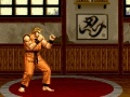 Oyunu Art of Fighting