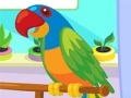 Oyunu Parrot Care