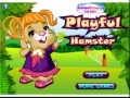 Oyunu Playful Hamster