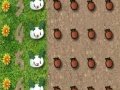 Oyunu Cute Rabbit Zuma