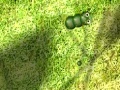 Oyunu Caterpillar