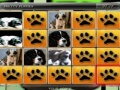 Oyunu Matching Puppies