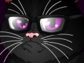 Oyunu Grumpy Cat