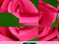 Oyunu Rose Sliding Puzzle