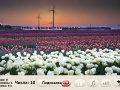 Oyunu Windflowers Find Numbers