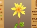 Oyunu Magic Flower