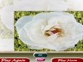 Oyunu White Flower Photo puzzle