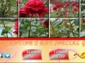 Oyunu Puzzle Craze - Rose Garden