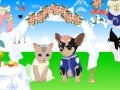 Oyunu Pet Wedding Dress up
