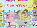 Oyunu Kitten Vs Puppy