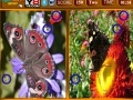 Oyunu Butterfly Similarities Game