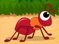 Oyunu Hurry Up Ant