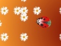 Oyunu Ladybug and flower